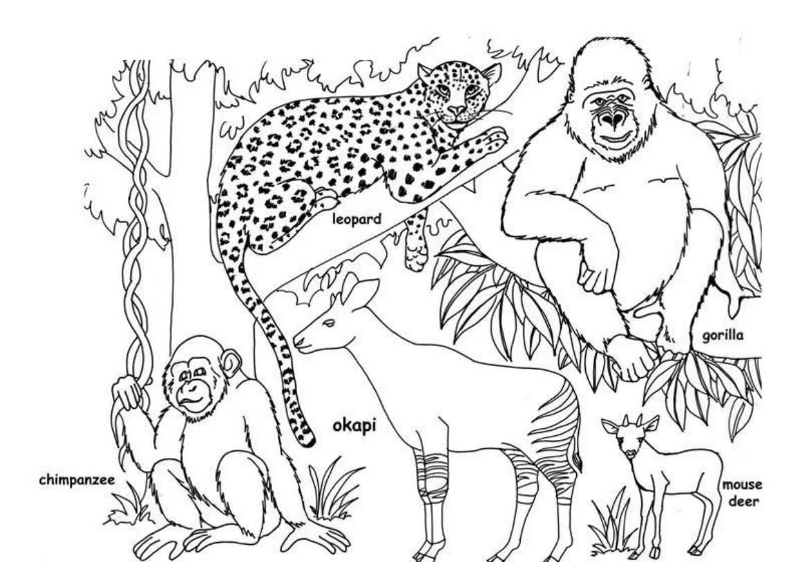 Afrika Ausmalbilder 4