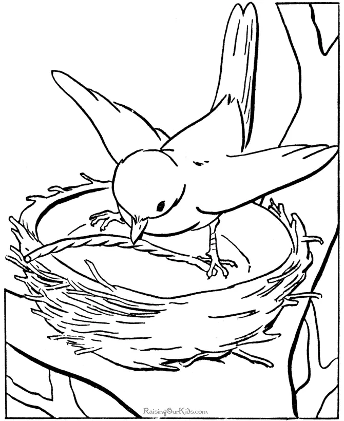 Animal Coloring Pages 16