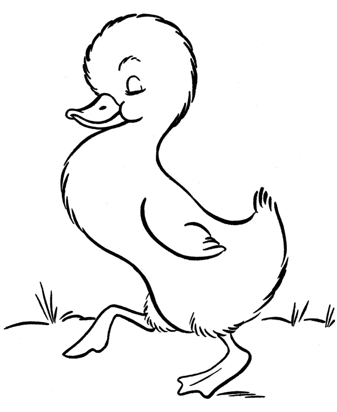 Animal Coloring Pages 39