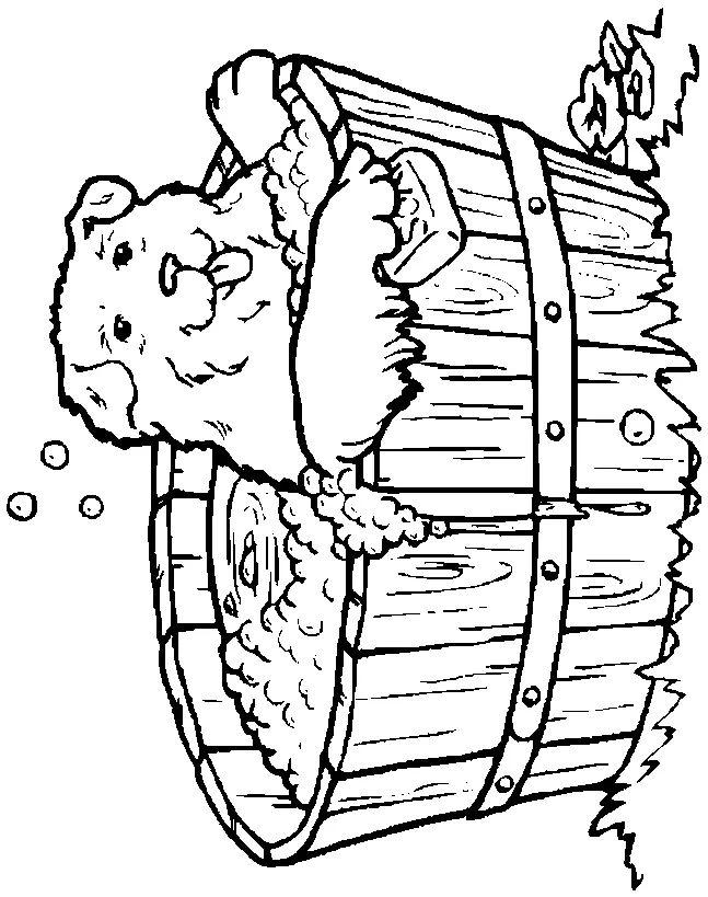 Animal Coloring Pages 41