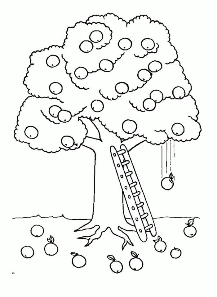 Apfel Ausmalbilder 33