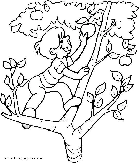 Desenhos de Macieira Para Colorir 32