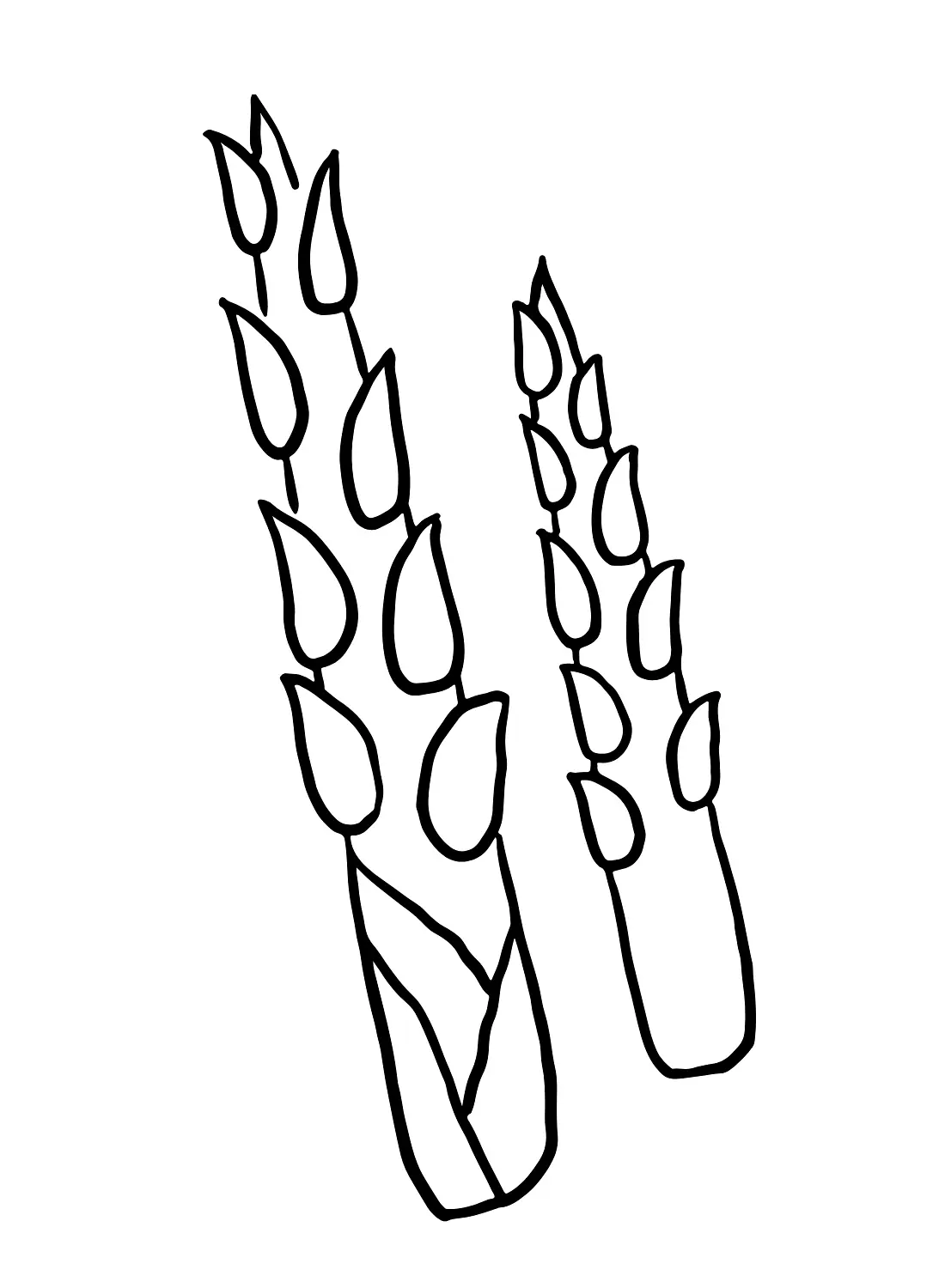 Spargel Ausmalbilder 31