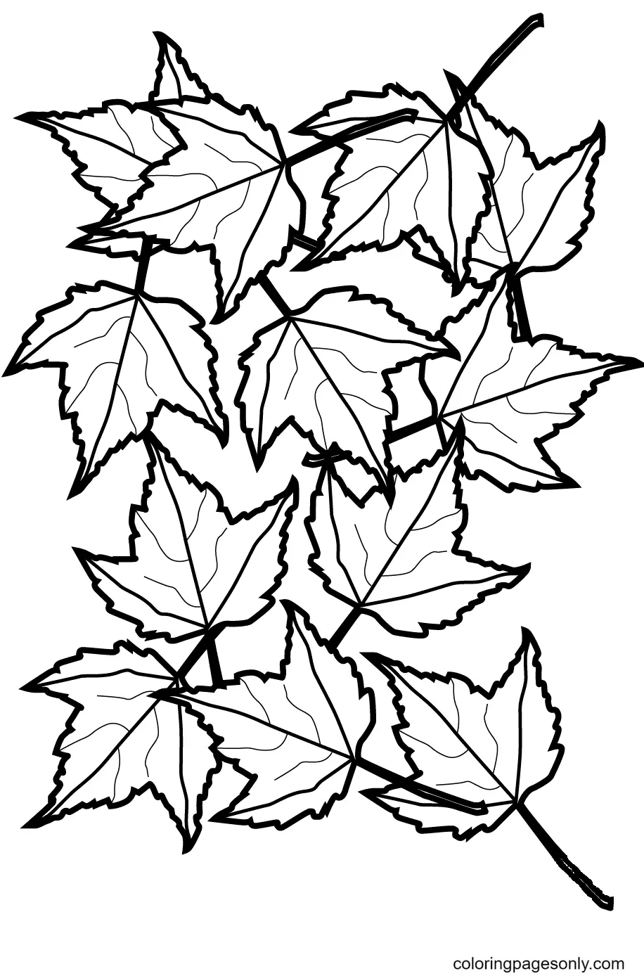 Autumn Leaves Coloring Pages