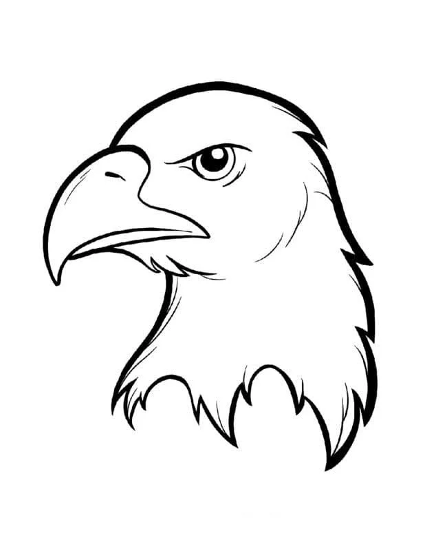 Bald Eagle Coloring Pages