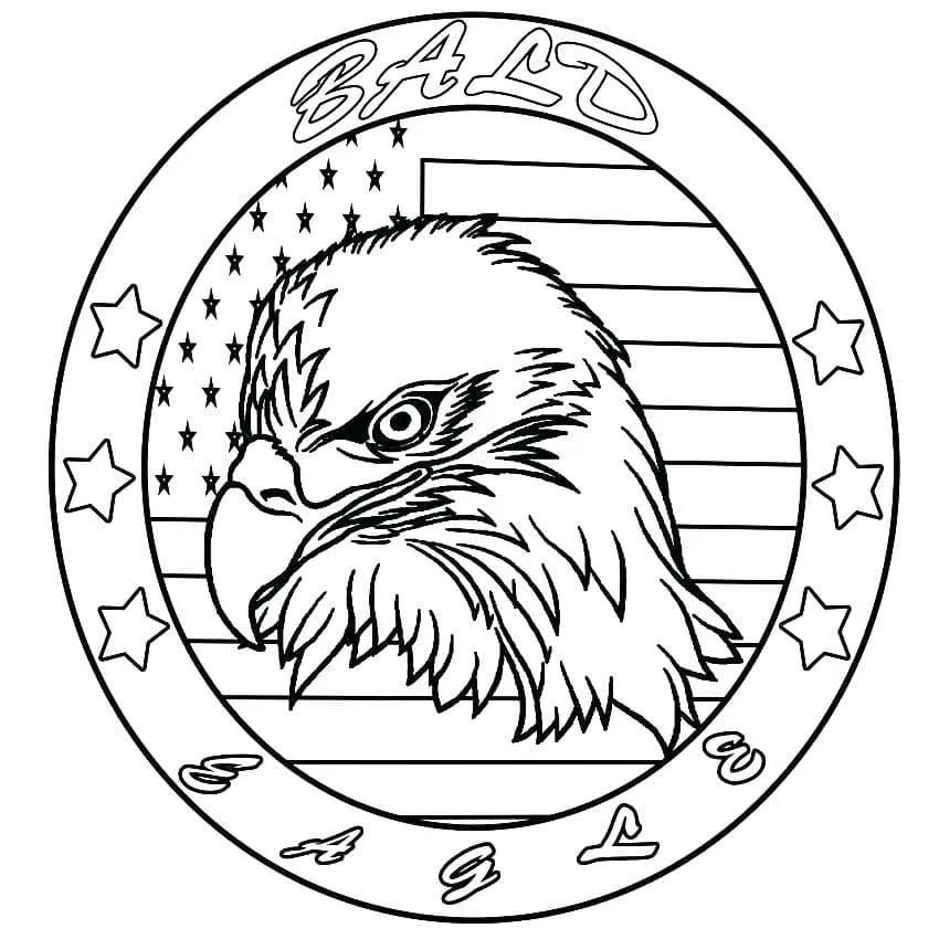 Bald Eagle Ausmalbilder 66