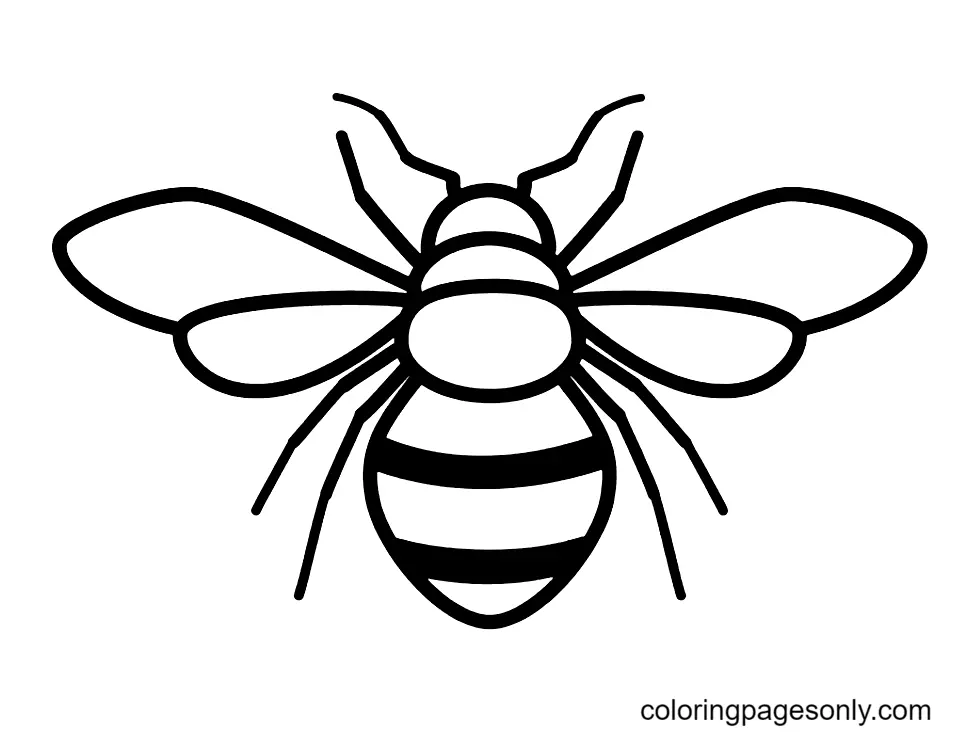 Bienen Ausmalbilder 9