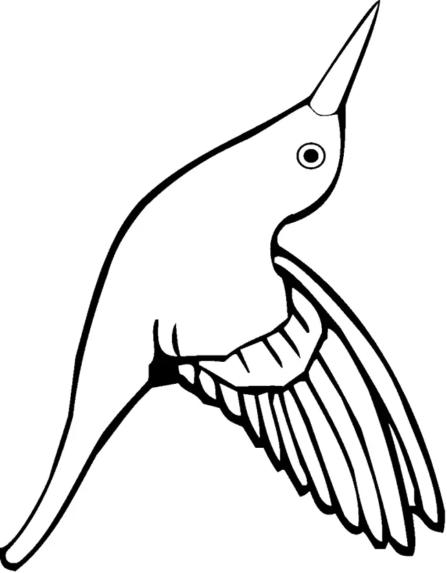 Desenhos de Bird Para Colorir 17