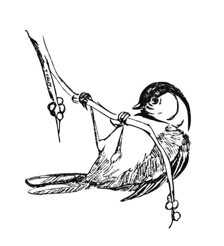 Desenhos de Bird Para Colorir 7