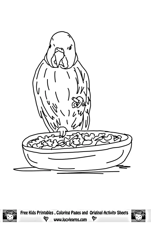 Desenhos de Bird Para Colorir 96