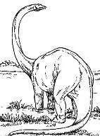 Brachiosaurus Ausmalbilder 17