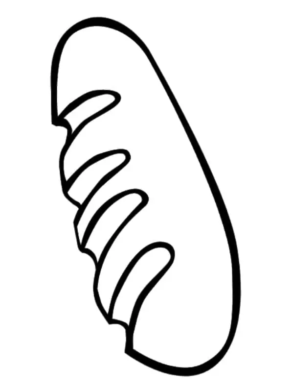 Brot Ausmalbilder 29