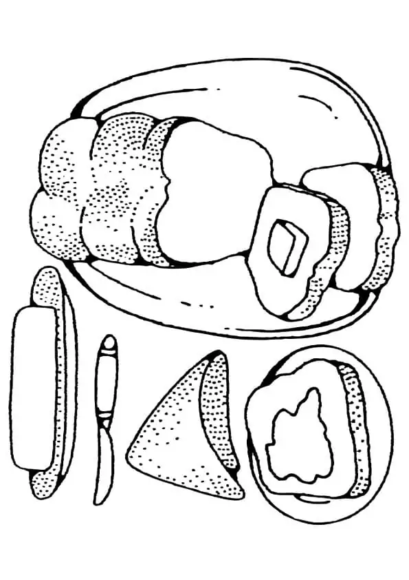 Brot Ausmalbilder 5