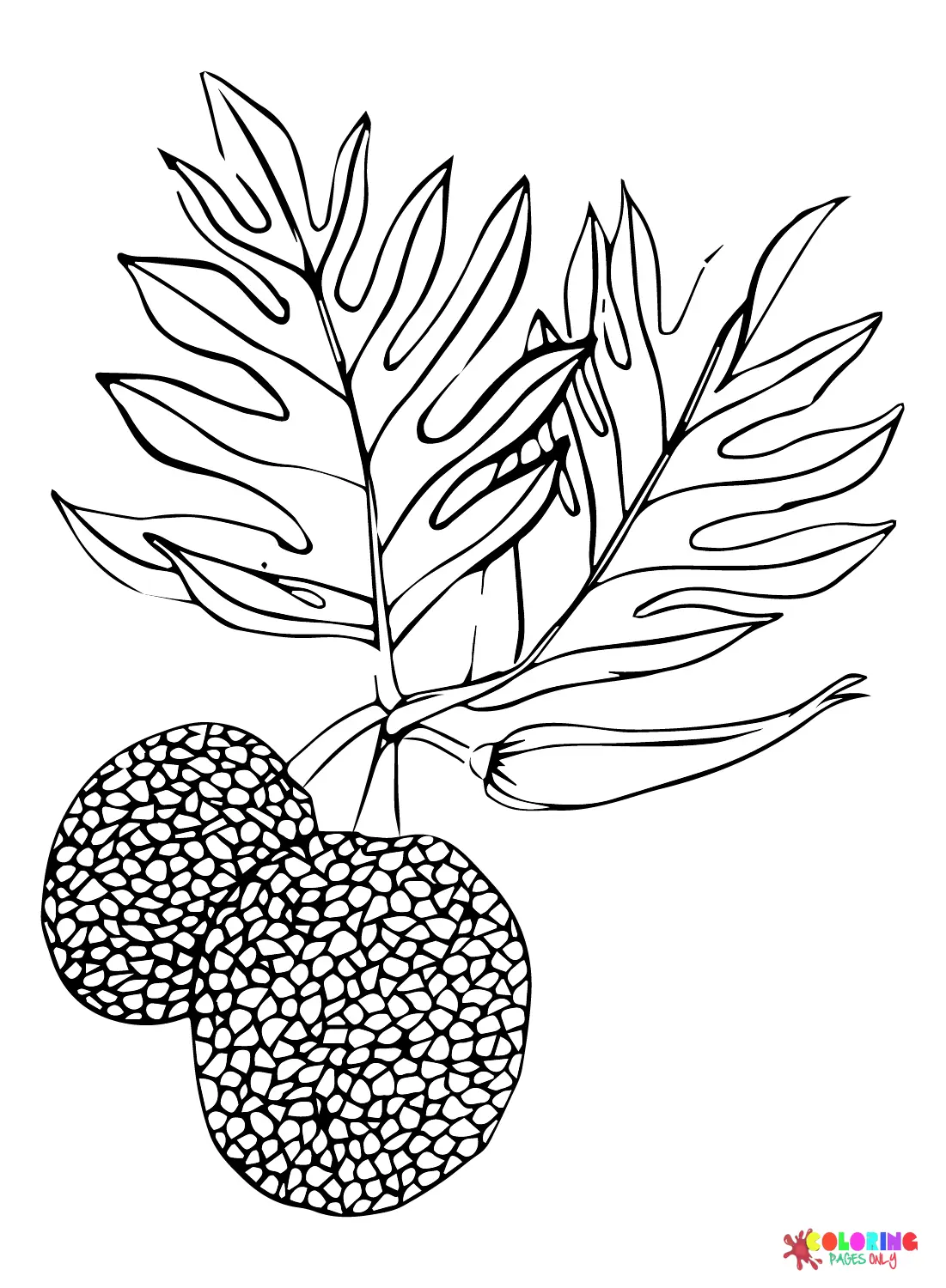Desenhos de Fruta-Pao Para Colorir 20