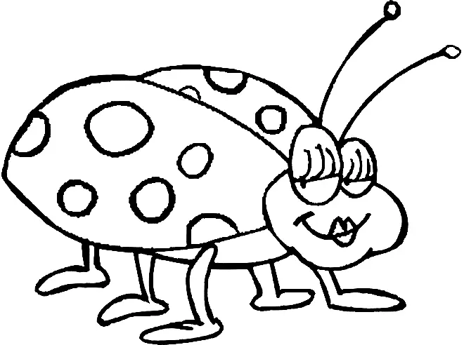 Insekten Ausmalbilder 24