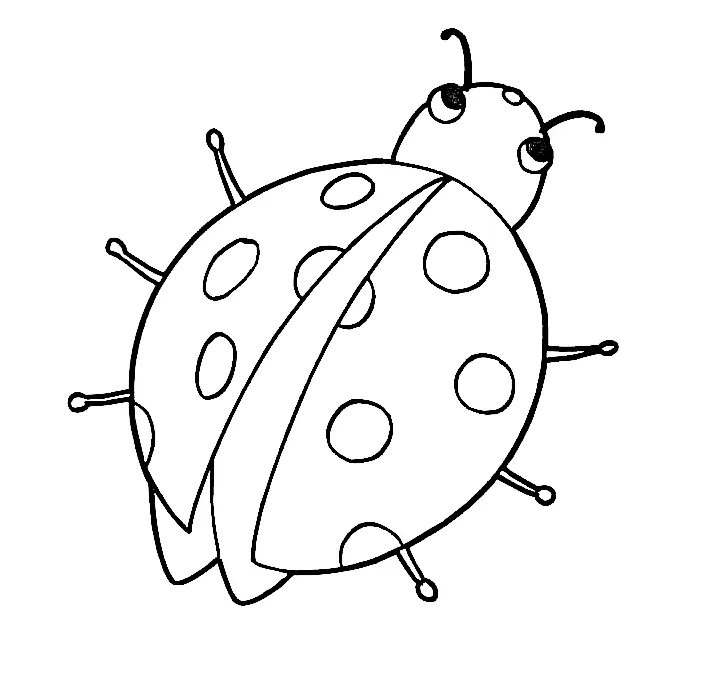Insekten Ausmalbilder 4
