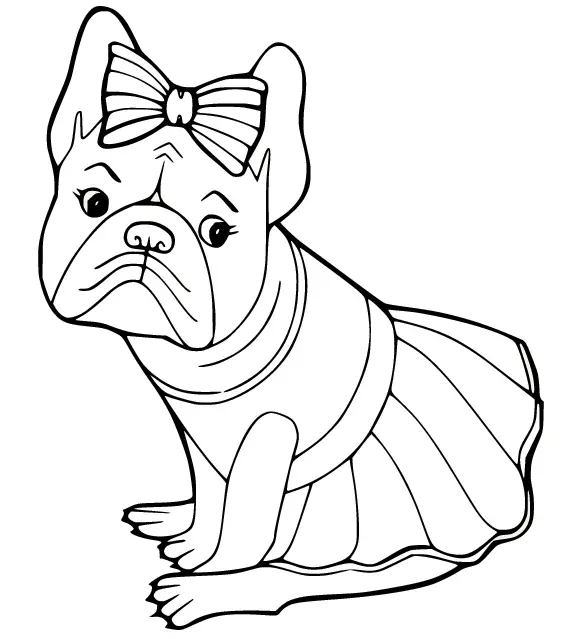 Bulldog Para Colorear 15
