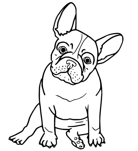 Bulldog Para Colorear 2