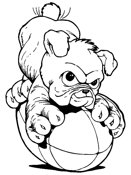 Bulldog Para Colorear 29