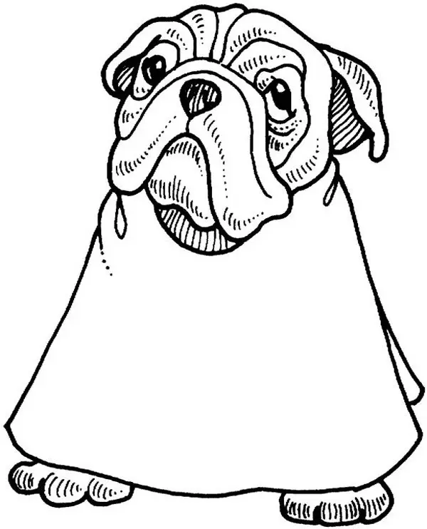 Bulldog Para Colorear 40