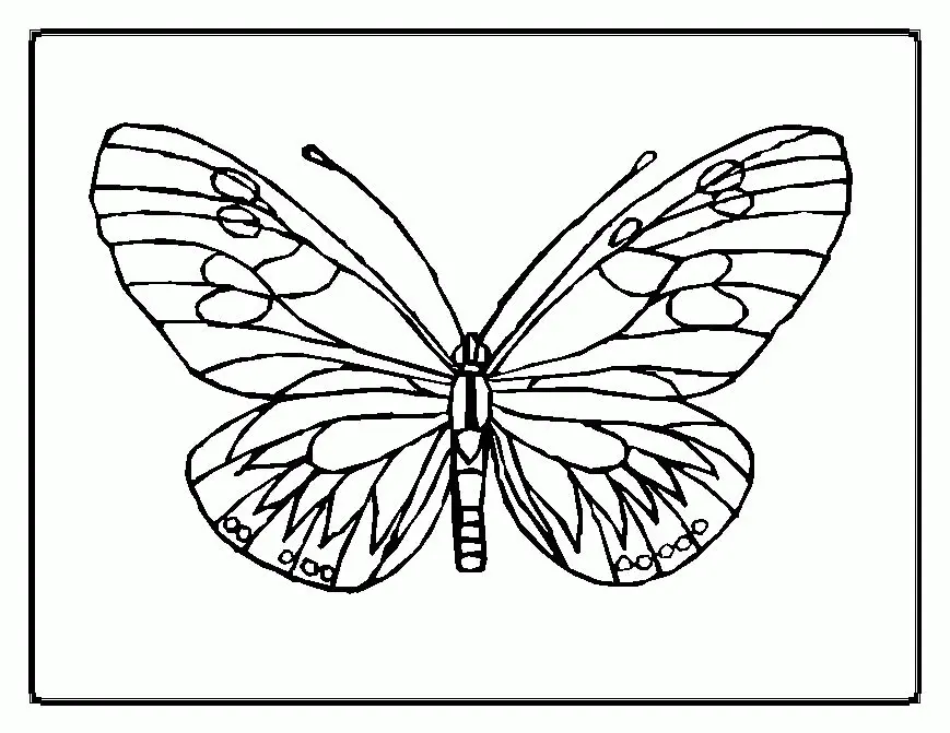 Mariposas Para Colorear 10