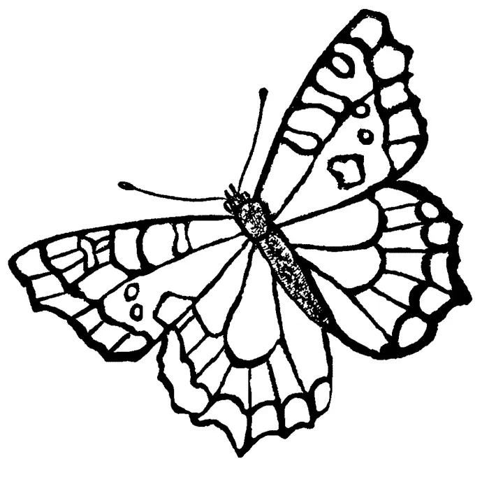 Mariposas Para Colorear 15