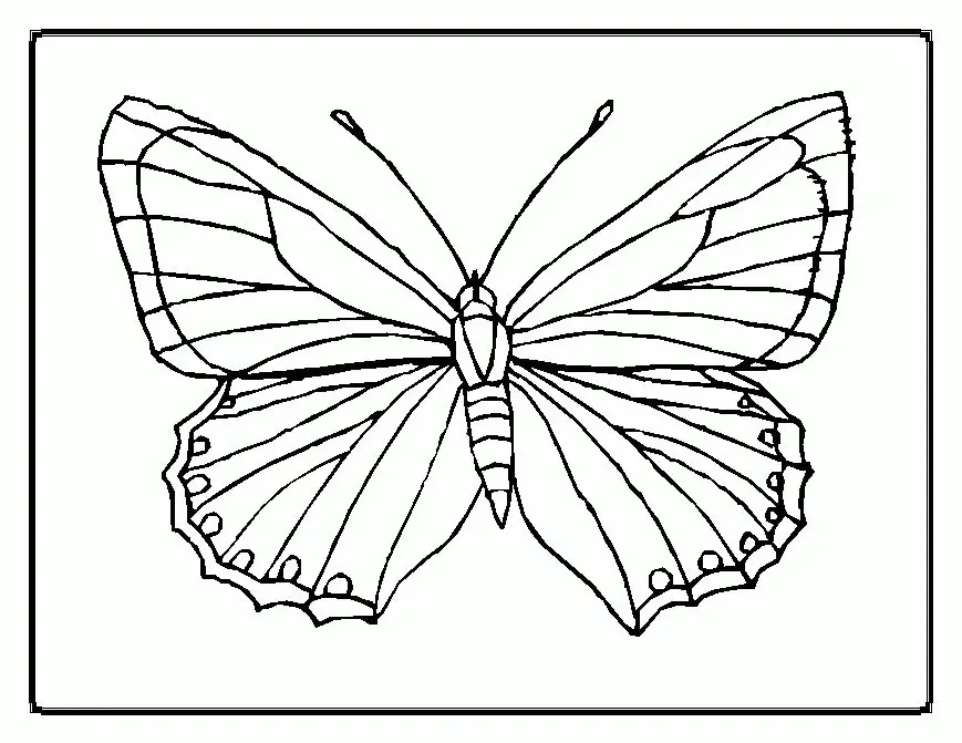 Mariposas Para Colorear 26