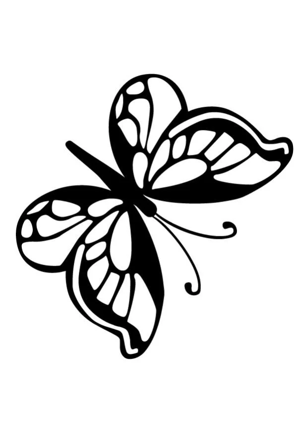 Mariposas Para Colorear 27