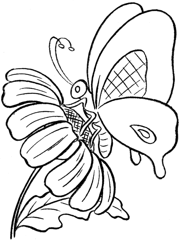 Mariposas Para Colorear 44