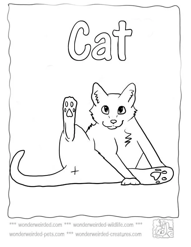 Cat Coloring Pages 113