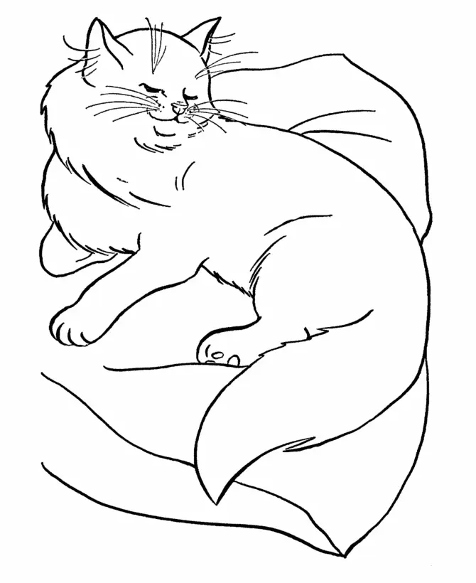 Cat Coloring Pages 18