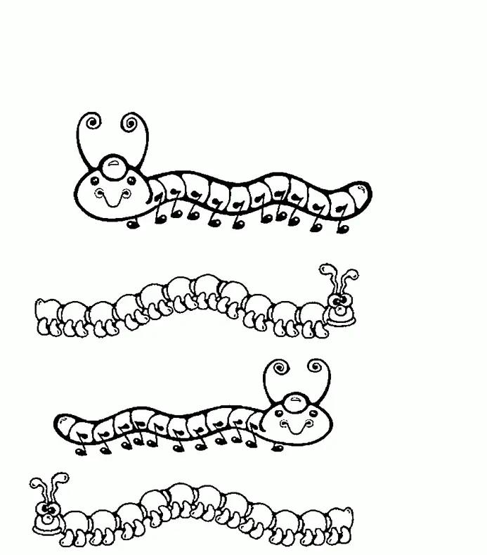 Desenhos de Lagarta Para Colorir
