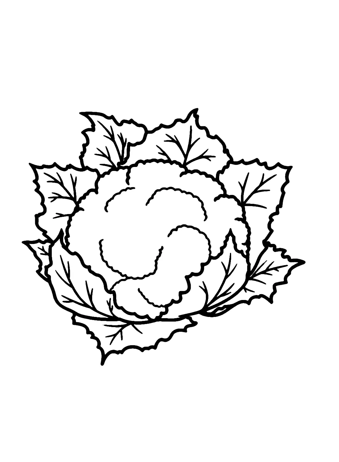 Cauliflower Coloring Pages 5