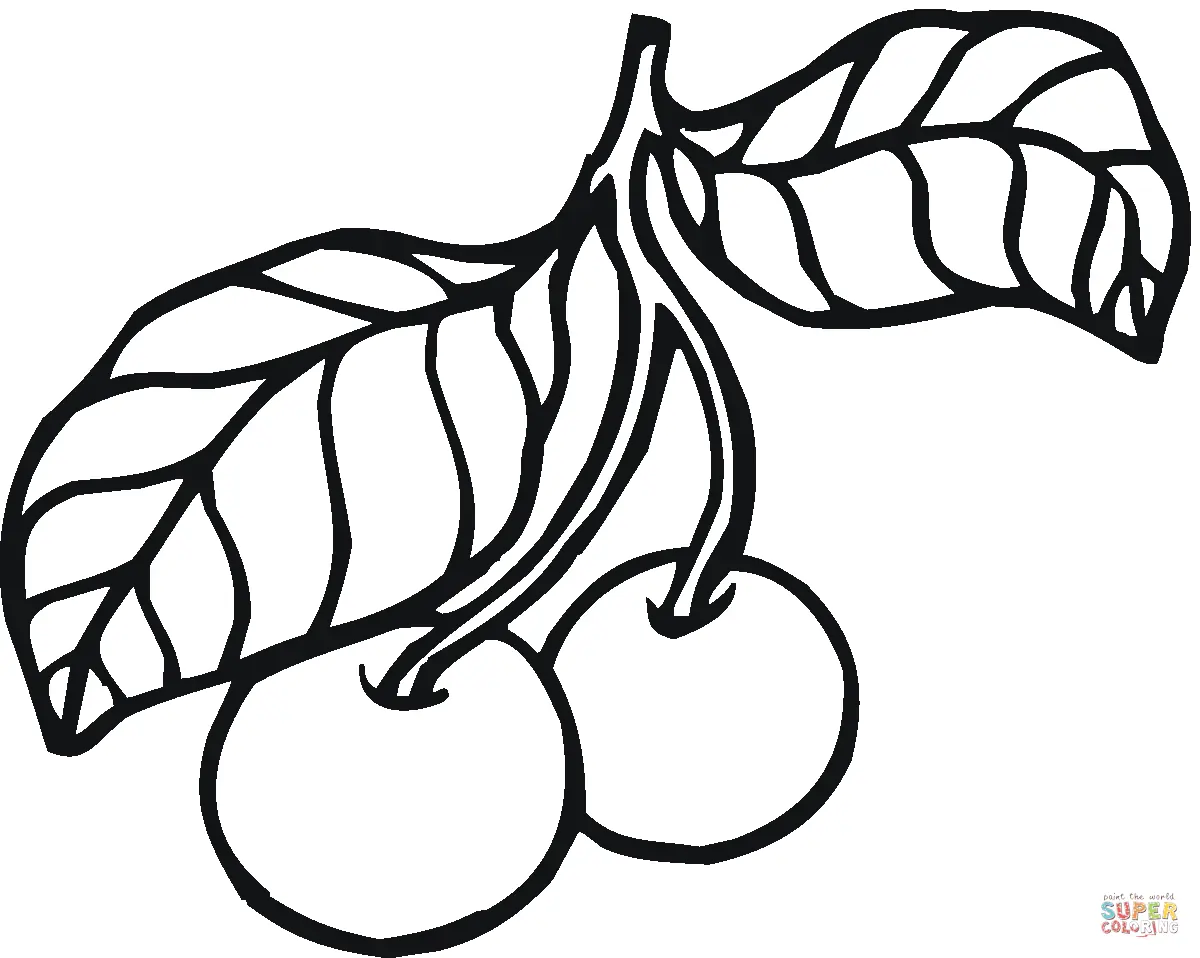 Cherry Coloring Pages 4