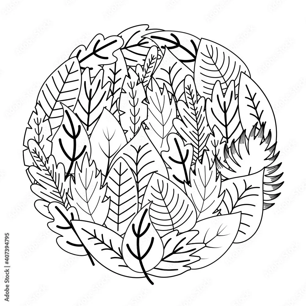 Forma de circulo Para Colorir 15