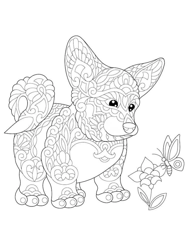 Corgi Para Colorir 2