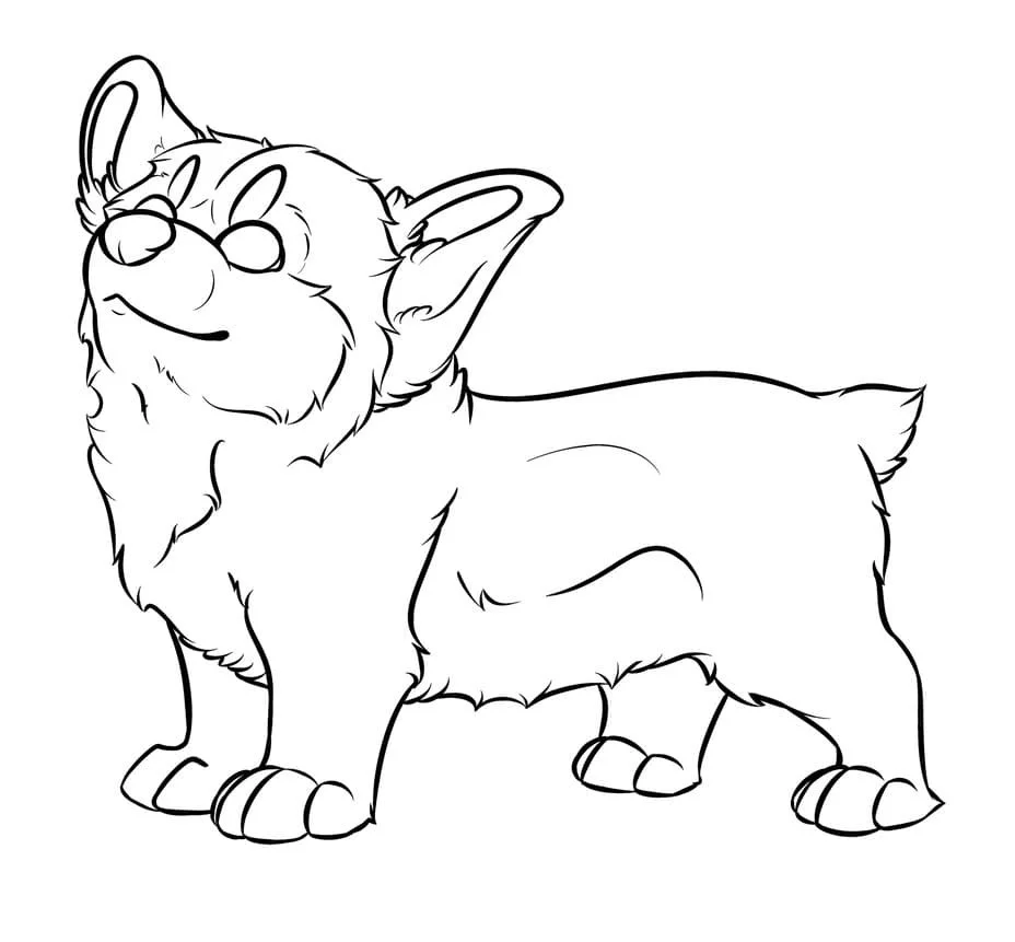 Corgi Para Colorir 27