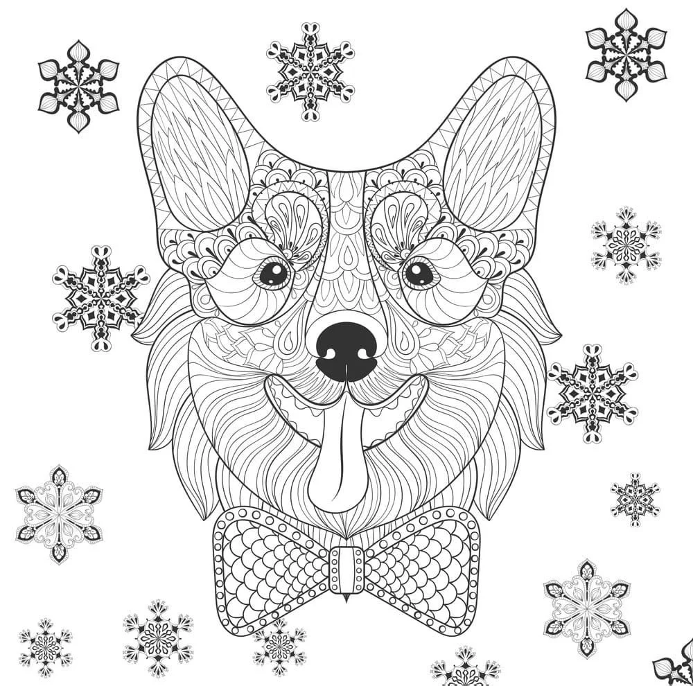 Corgi Para Colorir 35
