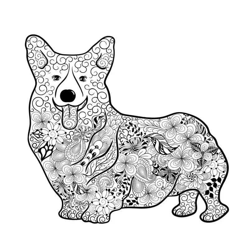 Corgi Para Colorir 5