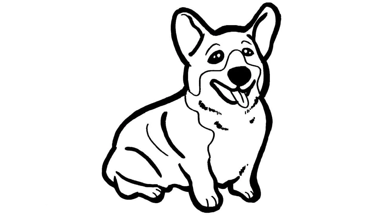 Corgi Para Colorir 7