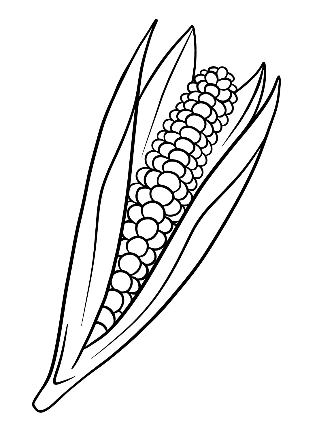 Corn Coloring Pages 39