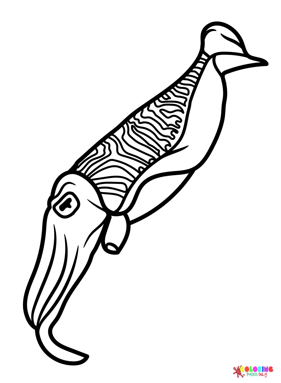 Tintenfisch Ausmalbilder 13