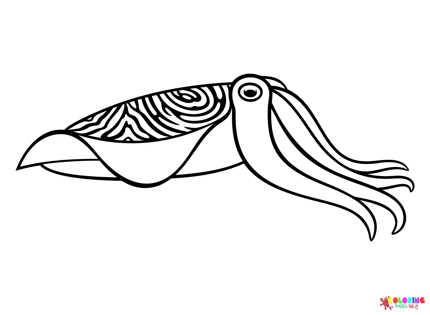 Tintenfisch Ausmalbilder 15
