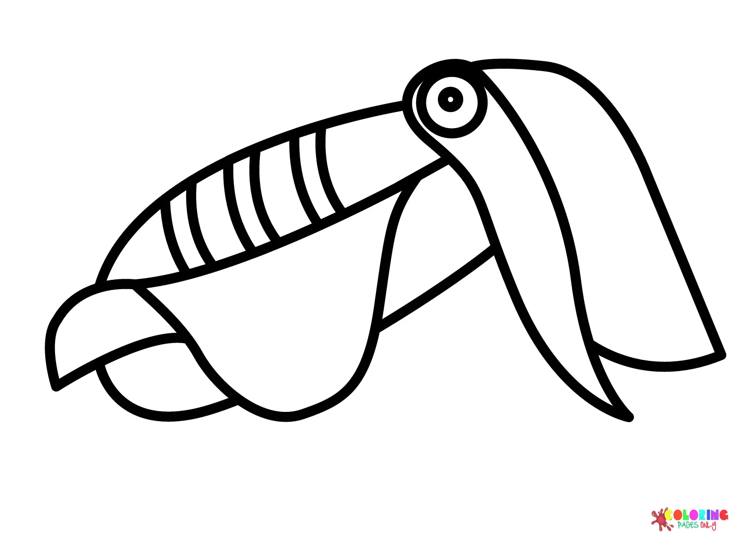 Cuttlefish Coloring Pages