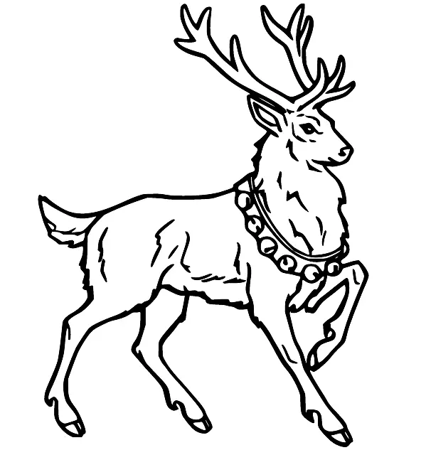 Deer Coloring Pages 48