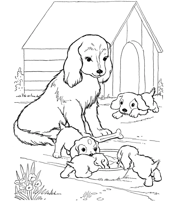 Desenhos de Dog Para Colorir 16