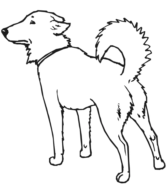 Desenhos de Dog Para Colorir 24