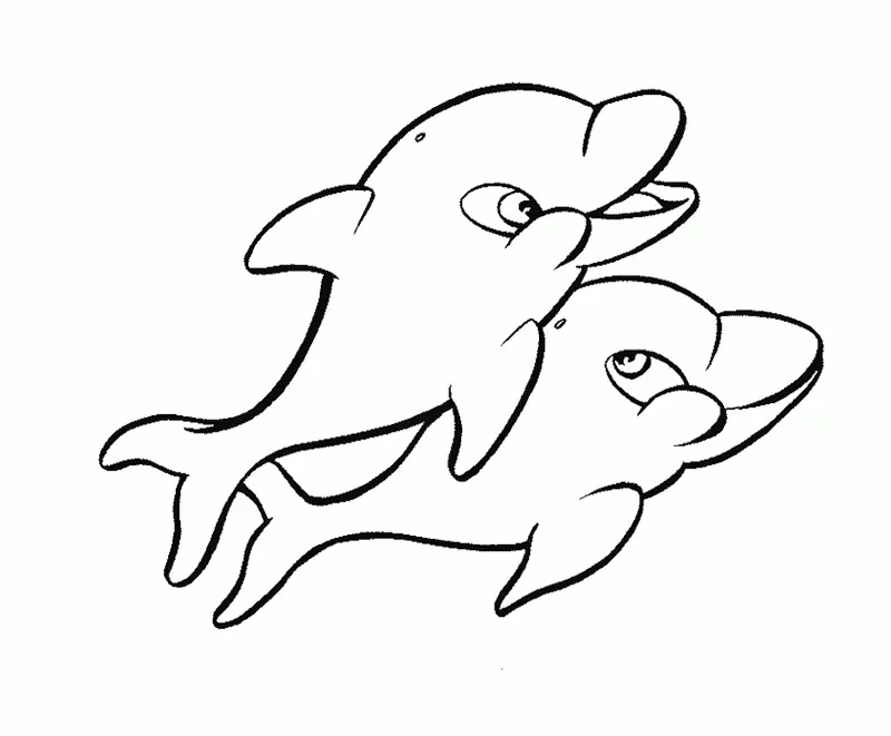 Desenhos de Golfinhos Para Colorir 107