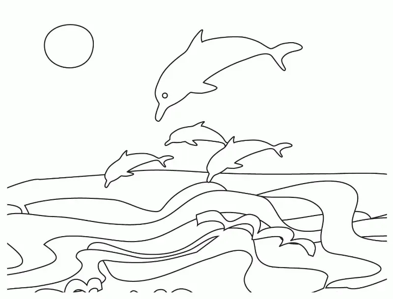 Desenhos de Golfinhos Para Colorir 72