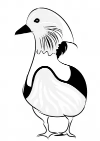 Ducks Coloring Pages 68